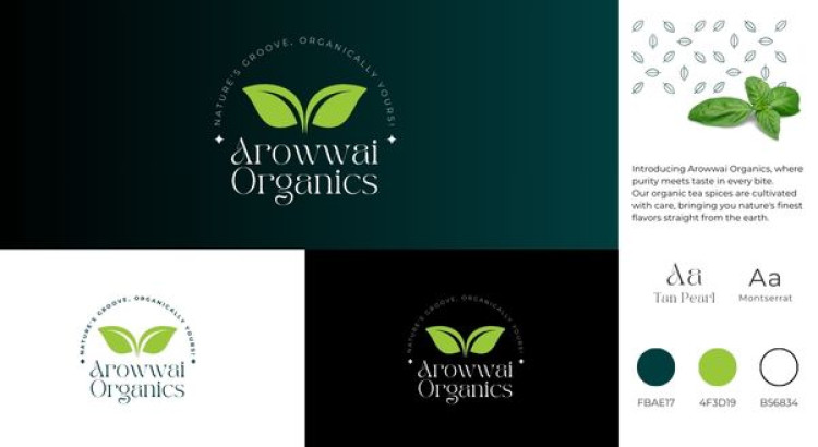 You will get professional Brand Style Guides , Brand Identity Design and Branding